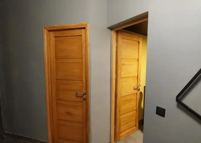 A Somogyi With 0-24-7 Self Check In-out Apartament *